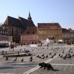 brasov-piata-sfatului