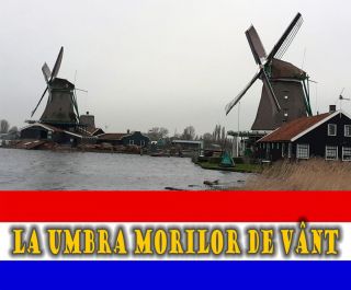 A venit circul! Intrarea ieftină, adică gratis